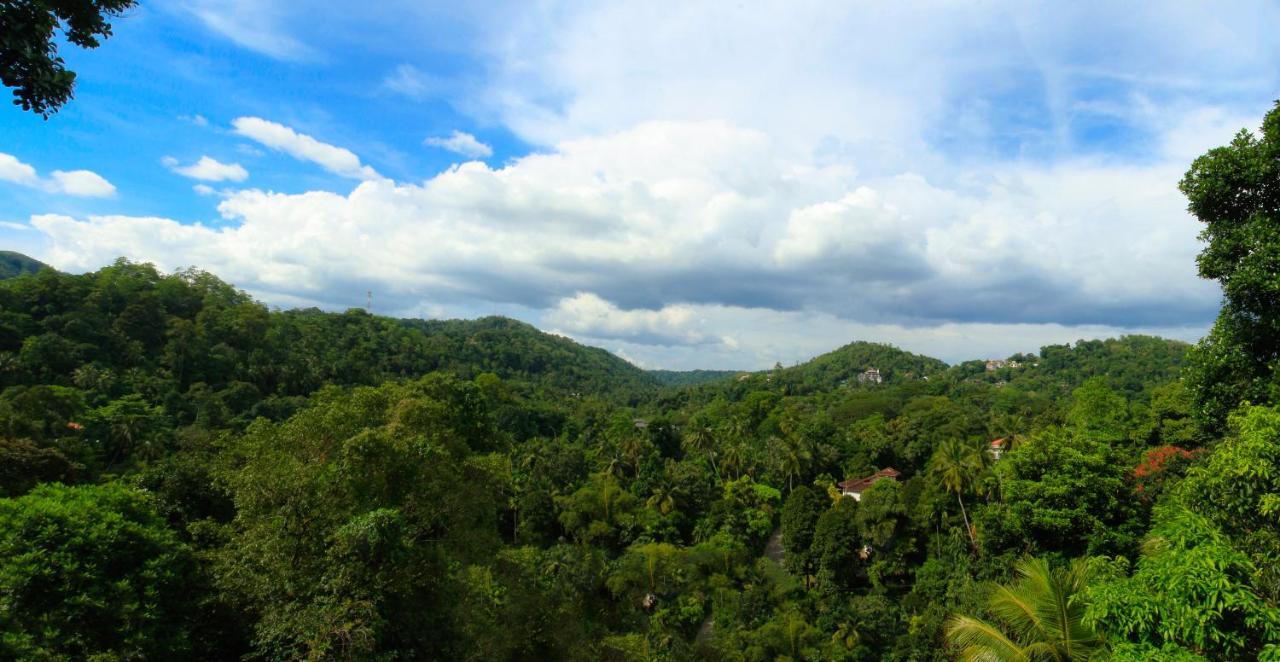 ออร์คิด วิลลา กัณฏิ Bed & Breakfast แคนดี้ ภายนอก รูปภาพ