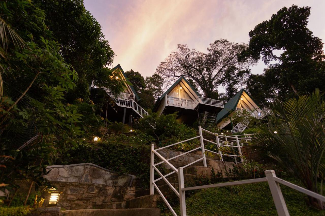 ออร์คิด วิลลา กัณฏิ Bed & Breakfast แคนดี้ ภายนอก รูปภาพ